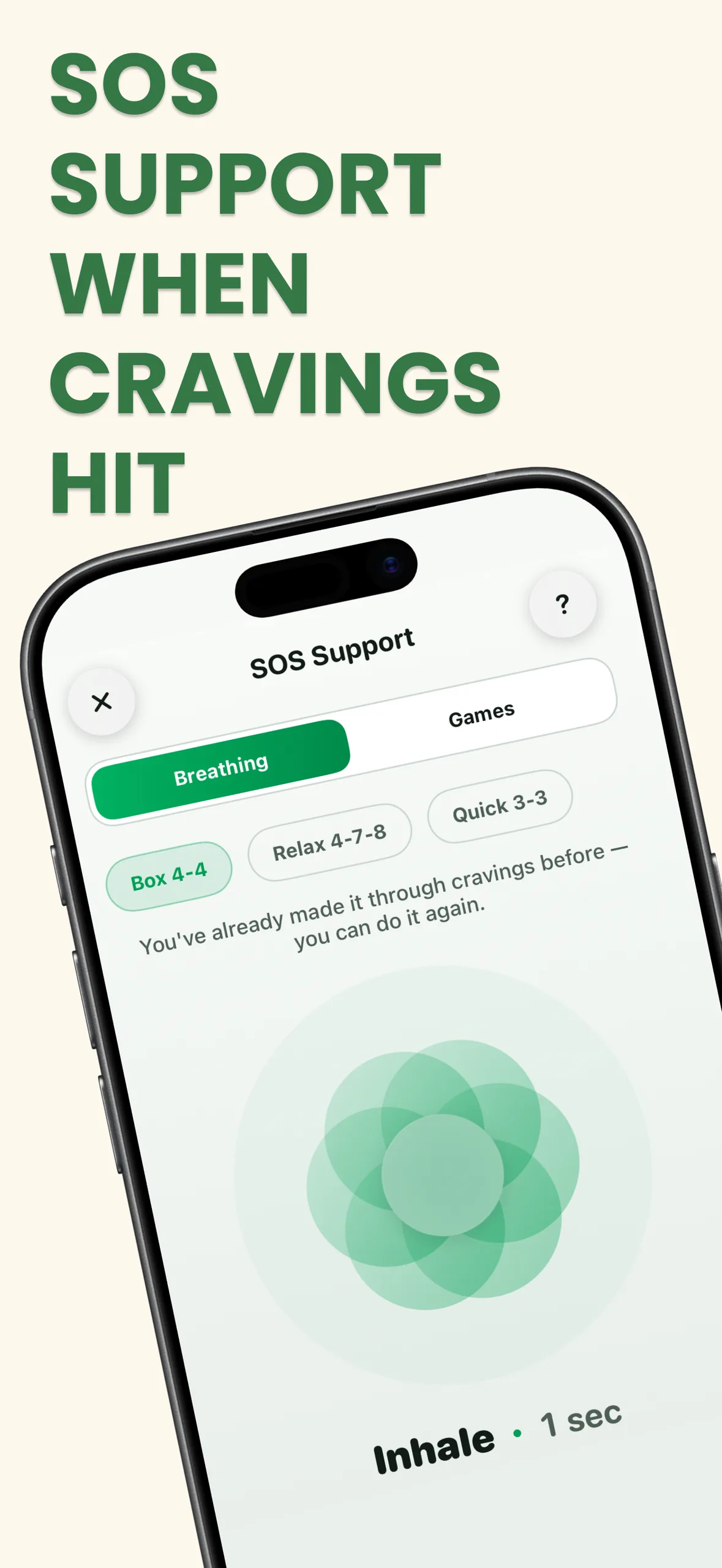 Quit Smoking Tracker - Visual Progress & Metrics on iPhone