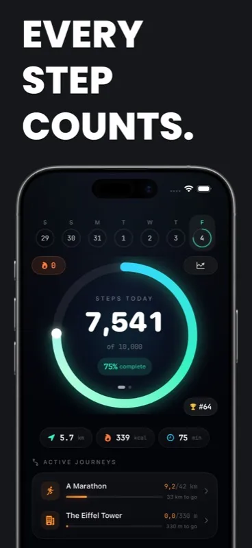StepLeague - Dashboard & Main Features on iPhone